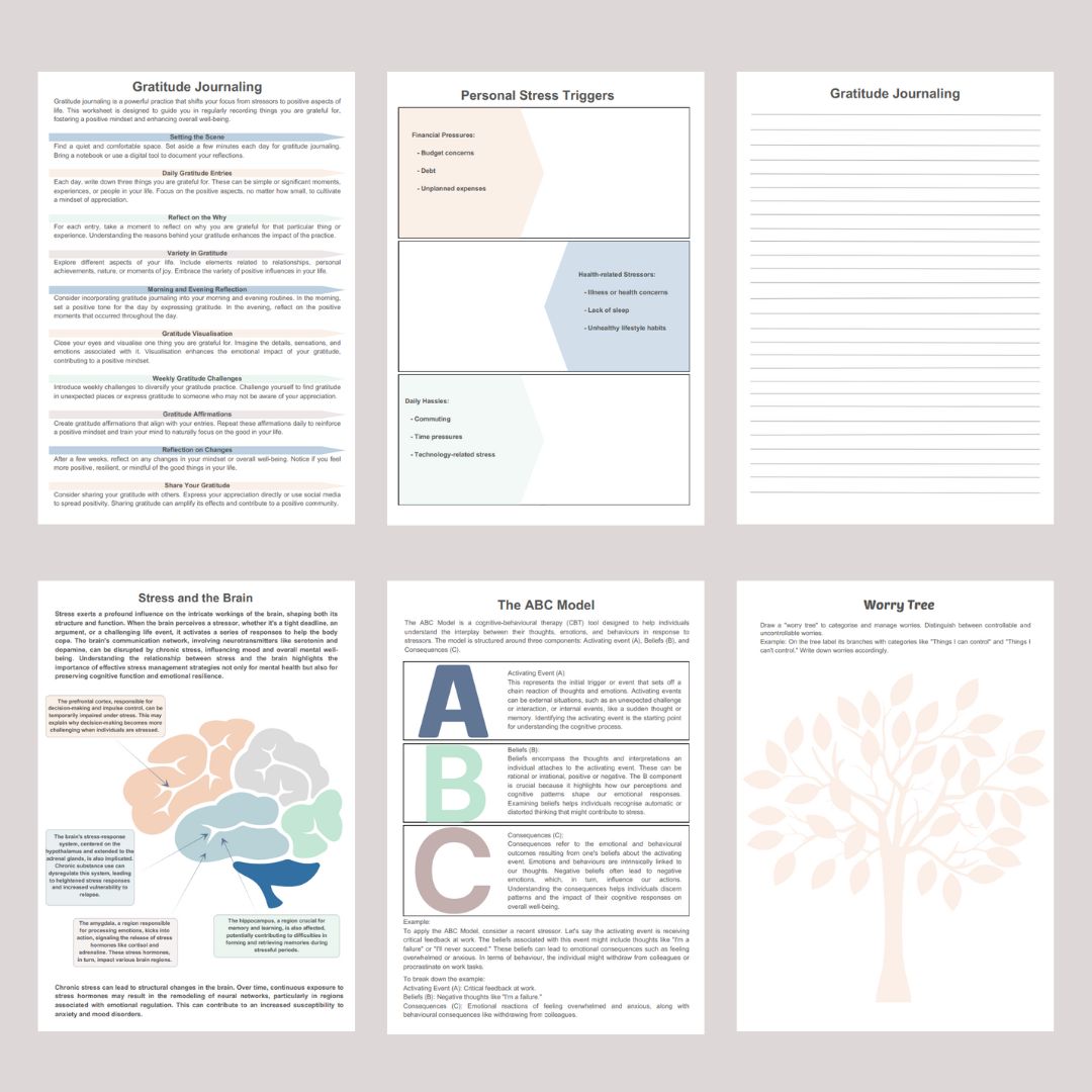 Stress Management Workbook - Counselor Sarah