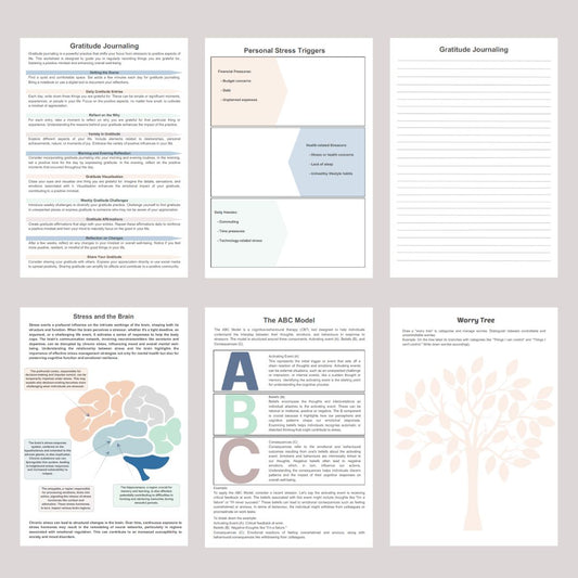 Stress Management Workbook - Counselor Sarah